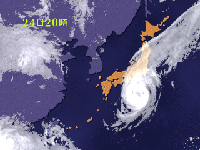 Typhoon17